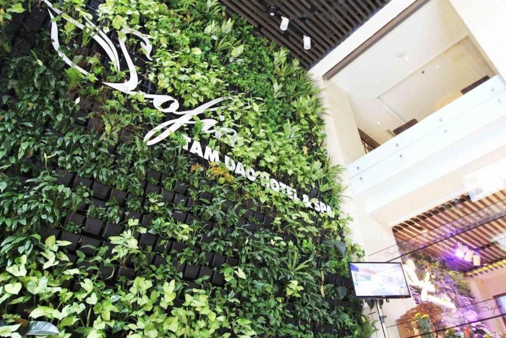 Thang Loi Tam Dao Hotel المظهر الخارجي الصورة